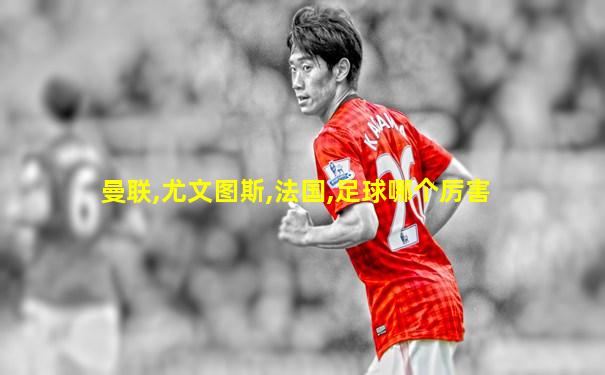 曼联,尤文图斯,法国,足球哪个厉害